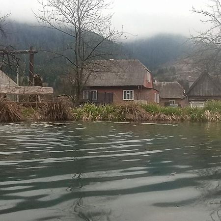 Готель Людмила Synevyr Buitenkant foto